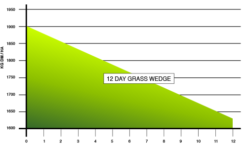 12 day grass wedge